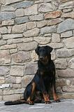 BEAUCERON 969